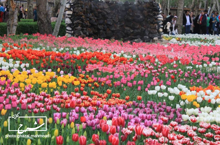 باغ گل تهران