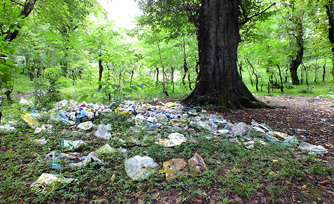 زباله در جنگل سیزده بدر