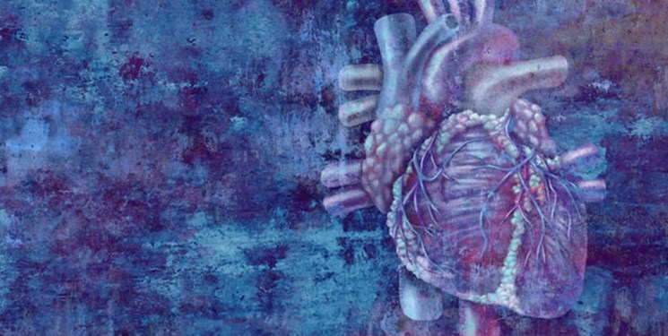 بازسازی بافت قلب با سلول های بنیادی جنینی
