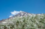 سند آخرین یال قله دماوند هم به نام دولت صادر شد