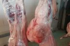 شهروندان تبریزی نگران سلامت گوشت های شناسنامه دار کشتارگاه صنعتی نباشند