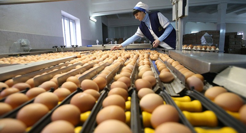 جمهوری آذربایجان ۵۰ میلیون تخم مرغ به ایران صادر می کند