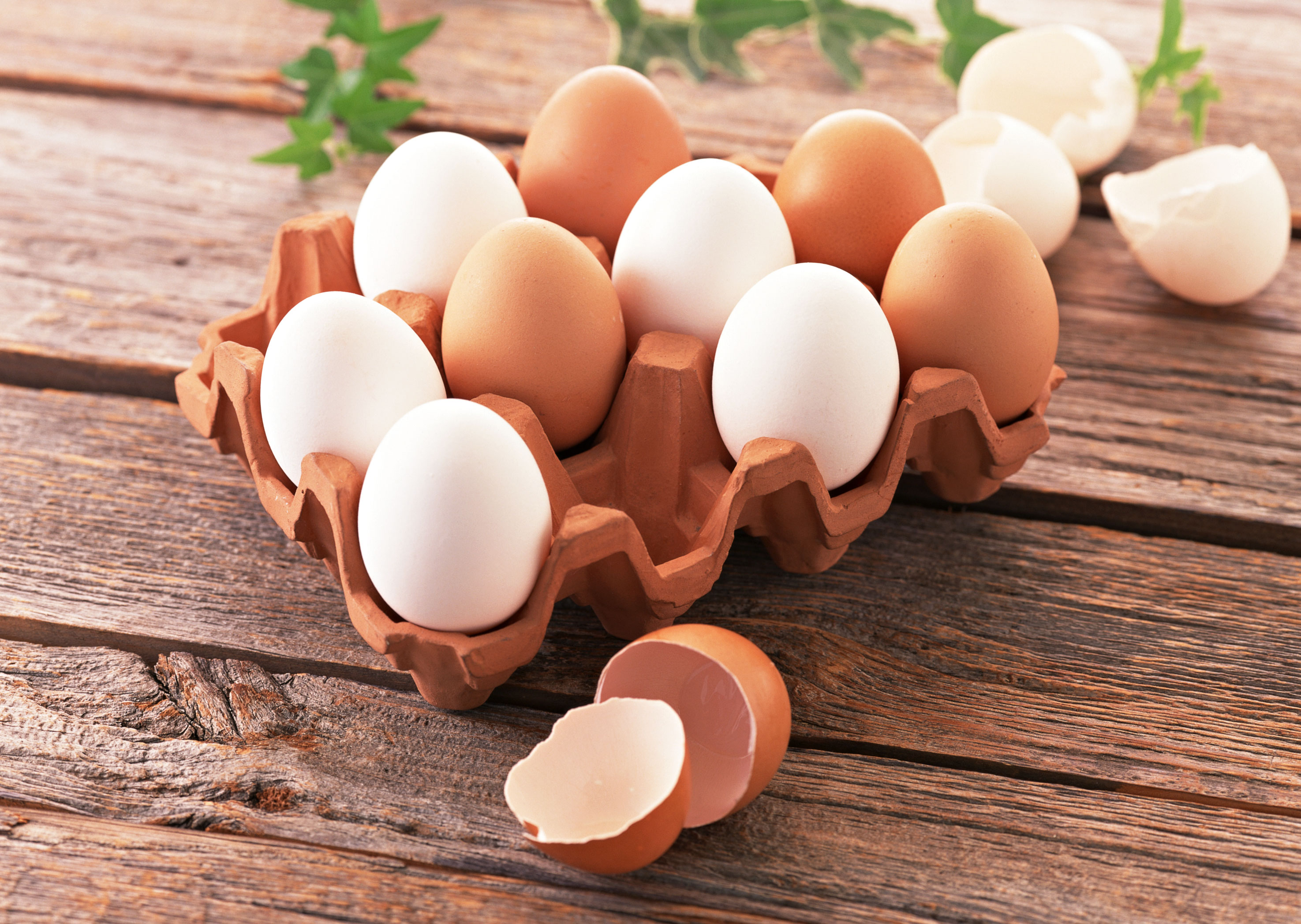 کاهش قیمت تخم‌مرغ به زیر ۵ هزار تومان