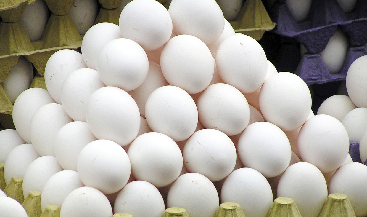 تخم مرغ ارزان می شود/ صادرات بی رویه علت گرانی بود