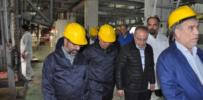 کشتارگاه صنعتی تبریز به سمت تحقق شعار « رونق تولید » حرکت می کند