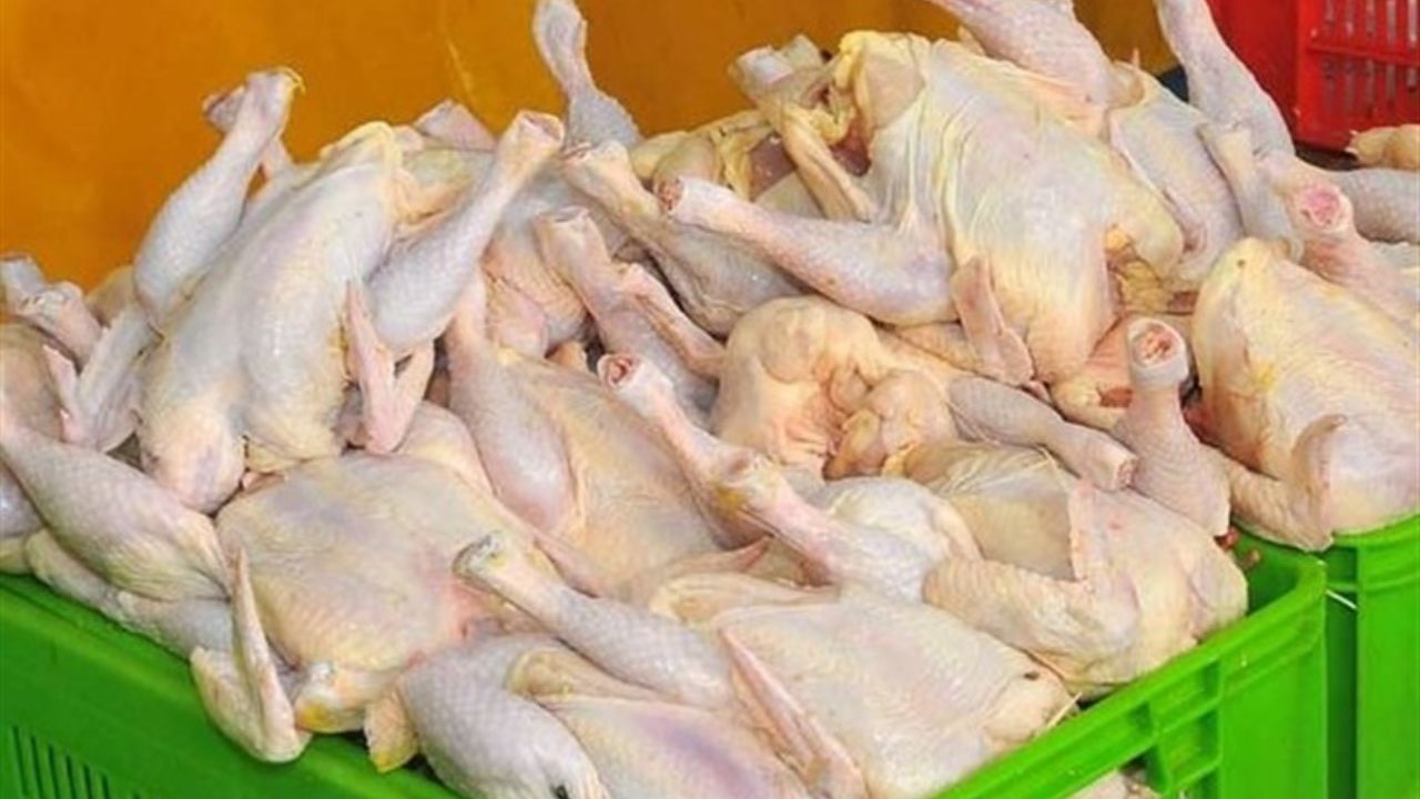 عرضه روزانه ۸۰۰ تن مرغ گرم و ۵۰۰ تن مرغ منجمد در تهران