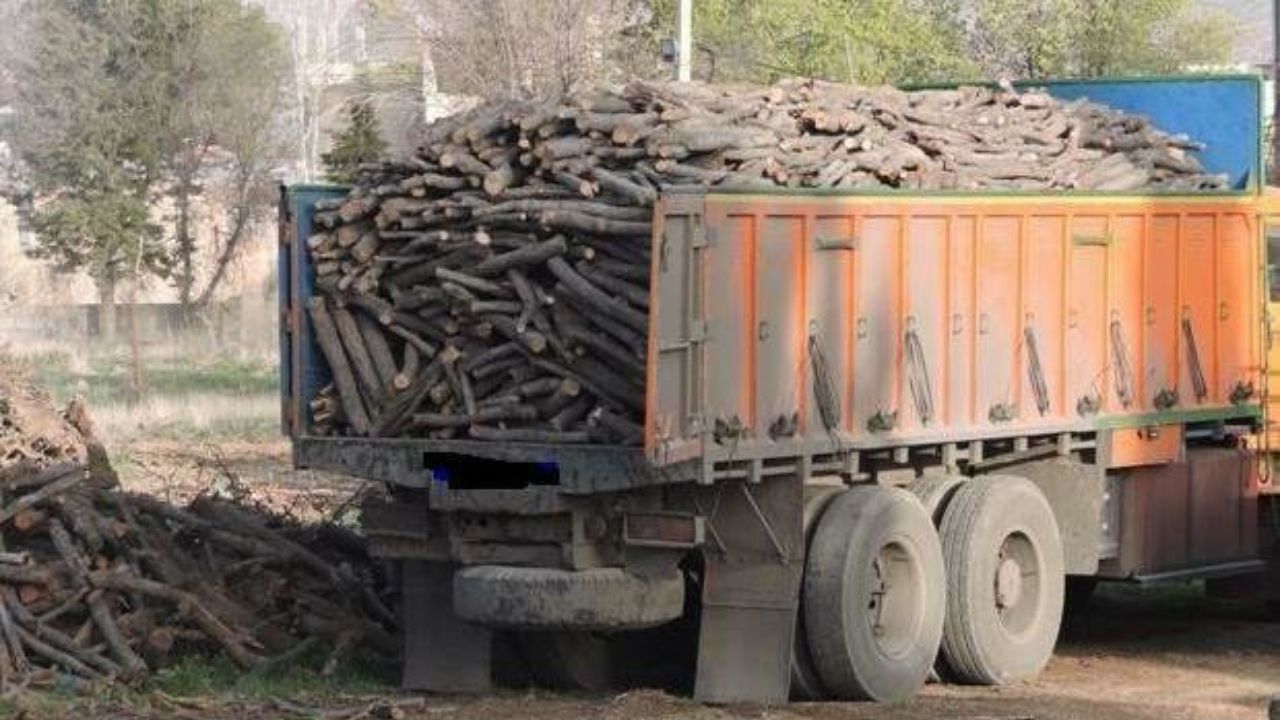 ۳ تن چوب قاچاق در رامیان کشف شد