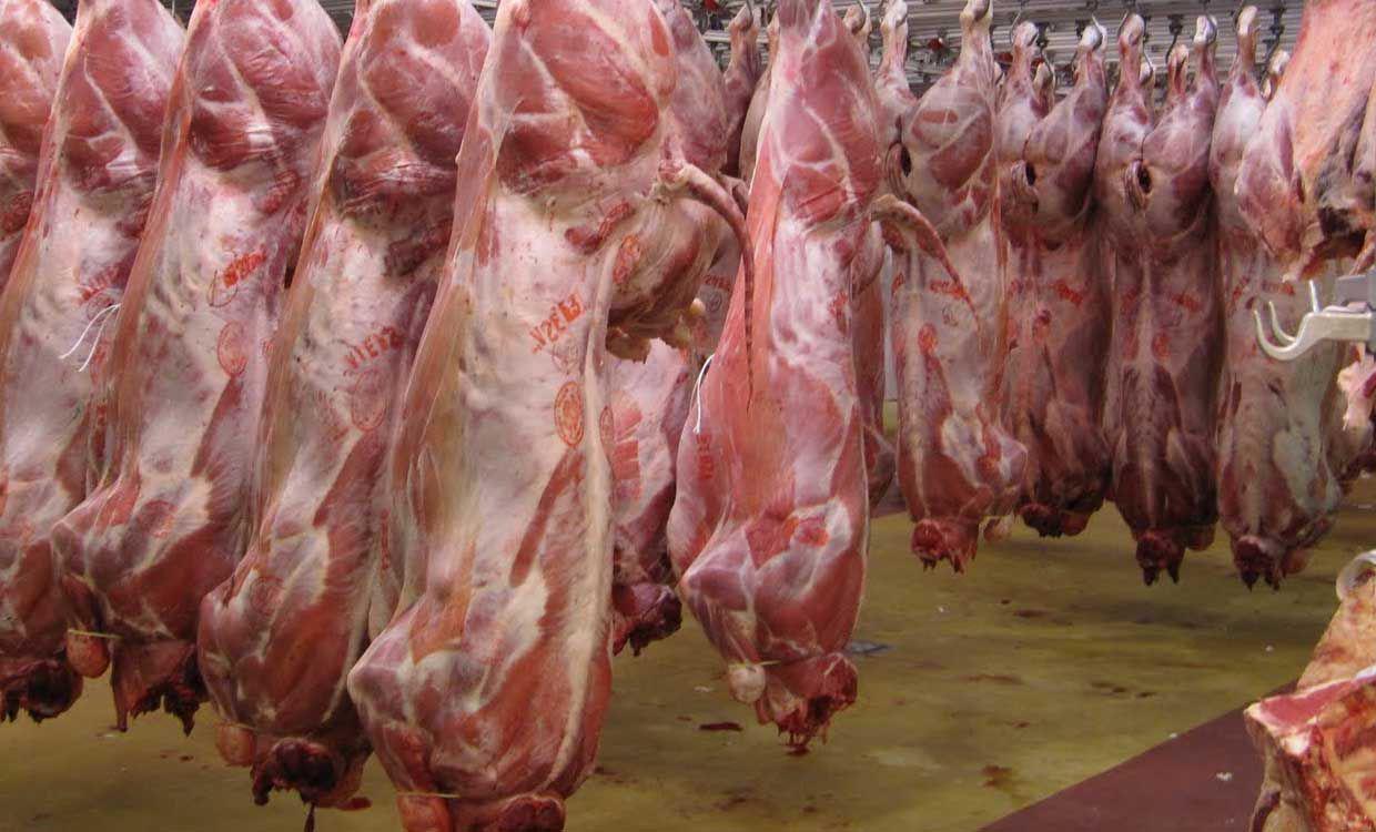 احتکار بیش از ۱۶ هزار کیلو گوشت قرمز در تهران