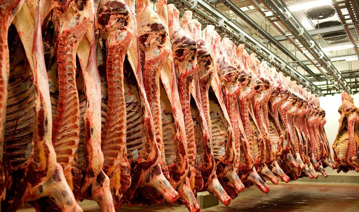 دستگیری ۱۴ دلال گوشت در استان البرز